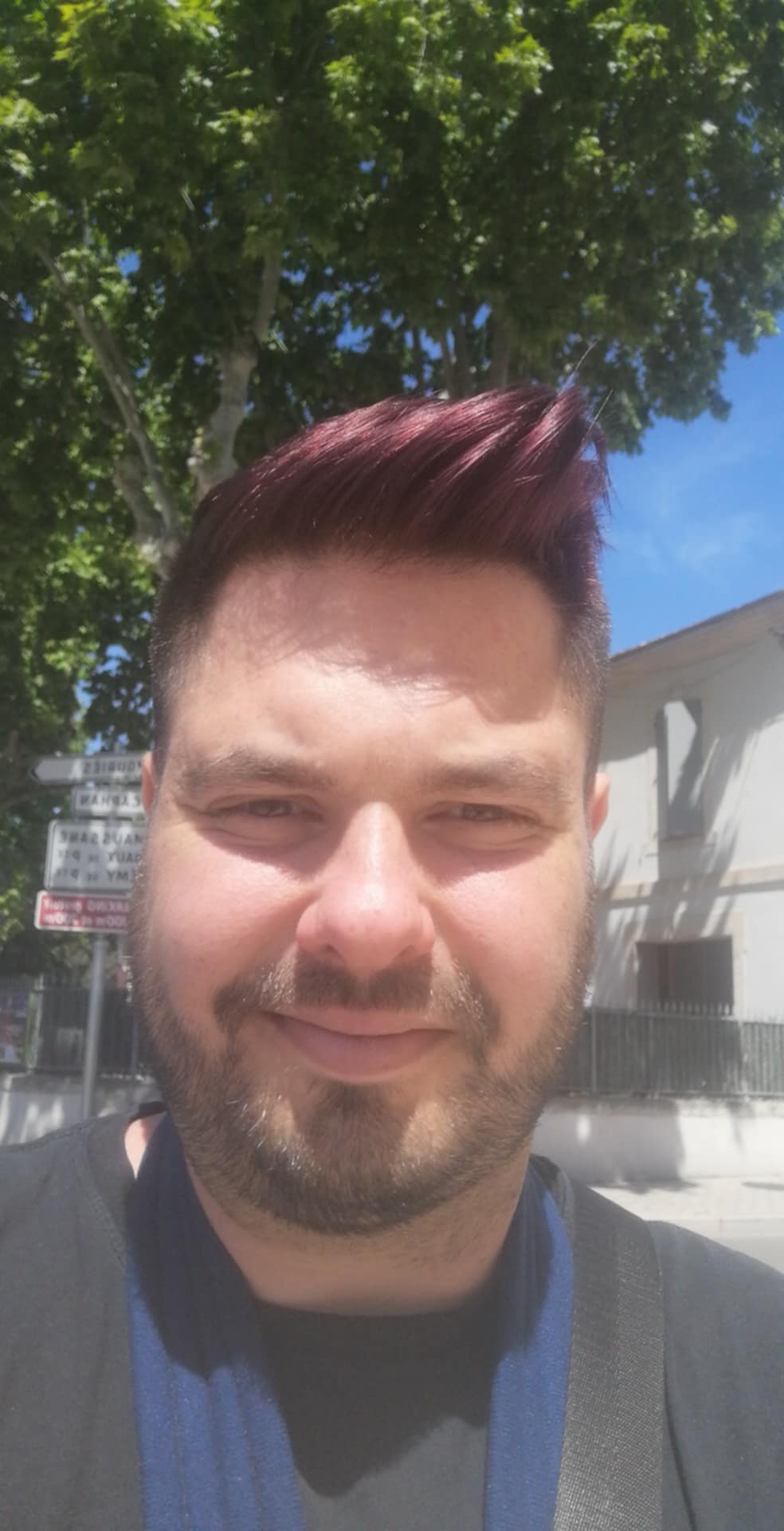 Profil de Louis-antoine, 33 ans, TS Suisse à Bärschwil